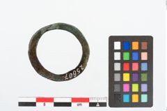 Foto von Bronzering (NHMW-PRAE-025607)